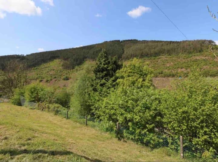 Villa Afan House Pontrhydyfen Exterior foto